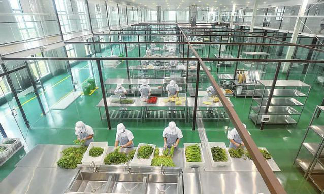 中央小黄片链接下载设备