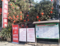 疫情无情人有情，我为抗疫做贡献！