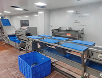 云南酒店小黄片链接下载设备厂家带你了解净菜加工设备和工艺